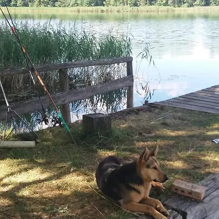 Na Mazurach Elk. Rogale