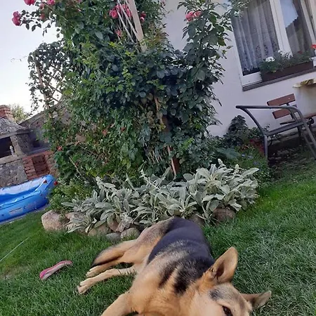 דירה Na Mazurach Elk. Rogale סטארה יוצ'י