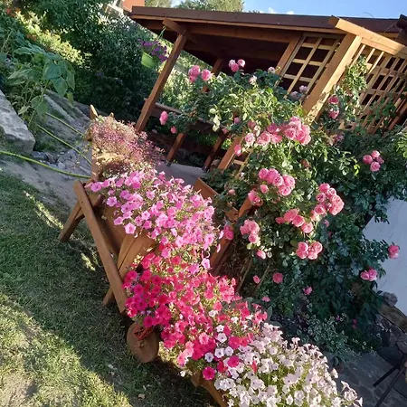 아파트 Na Mazurach Elk. Rogale 스타레 유치